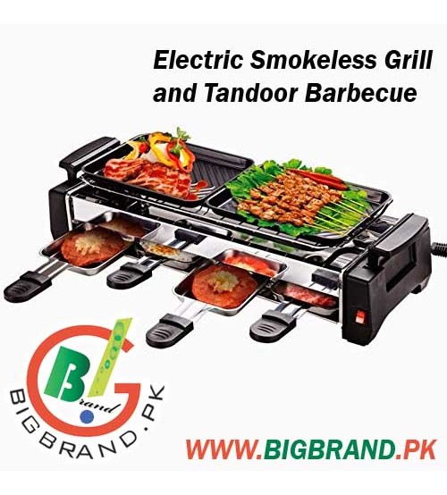 Electric Smokeless Grill and Tandoor Barbecue